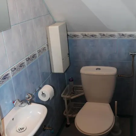 Фермерский дом Pod Kogutkiem *