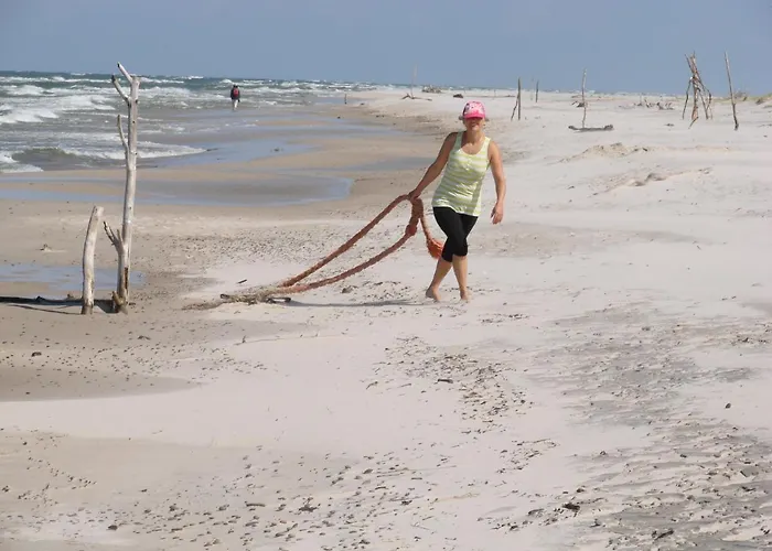 Farma Pod Kogutkiem Czysta