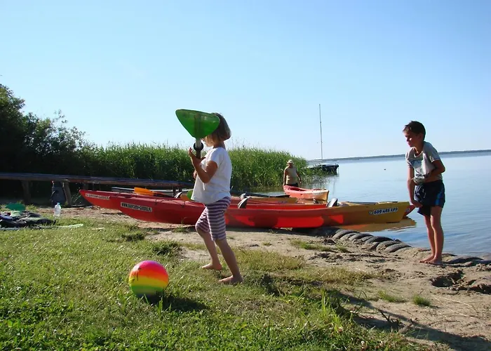 Pod Kogutkiem Farma *